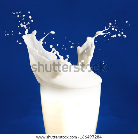 Splash Of Milk From The Glass On A Blue Background