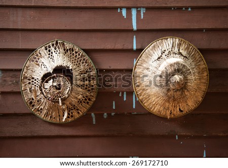 Old Asian conical hat on a wooden wall