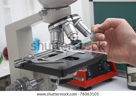 Quality testing products in modern laboratory with microscope