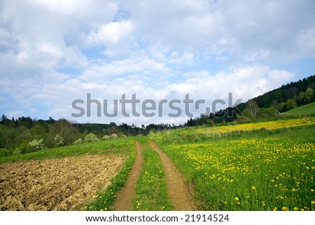 Road to heaven - Springtime Meadow