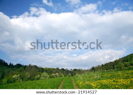 Road to heaven - Springtime Meadow