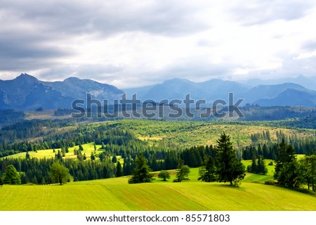 Green valley in the high mountains