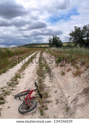 landscape with red bicycle on a road