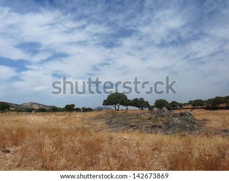 landscape with trees, dry grass  and sky with clouds