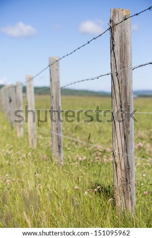 A wooden fence with barbed wire standing in a field/Fence