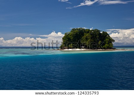 A remote tropical, South Pacific island is surrounded by clear water and diverse coral reefs in the Solomon Islands.