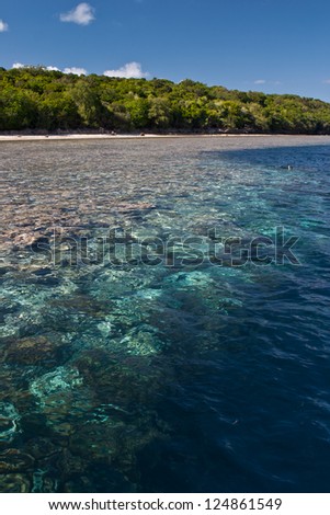 The barrier reef of Palau is one of the best diving and snorkeling sites in the world.  This area is known as Big Dropoff.