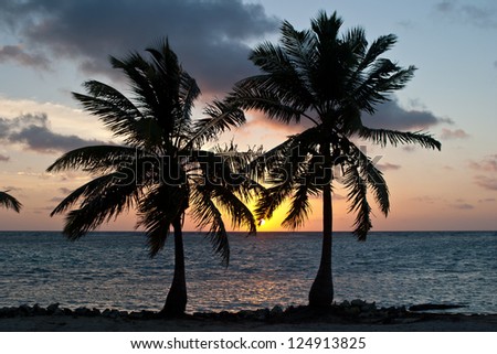 The sun rises between two coconut palms growing on a low-lying sandy island off of Belize.