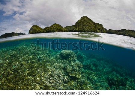 Palau's rock islands protect a large amount of delicate and shallow coral reefs.  The reefs act as a nursery for fish that eventually make their way out to the barrier reef as adults.