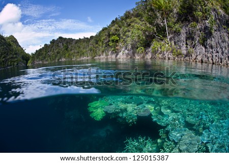 A healthy coral reef fringes limestone islands in Raja Ampat, Indonesia, part of the Coral Triangle.  Reefs offer a variety of marine habitats for fish and invertebrates.