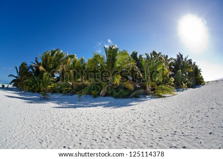 A low lying island is made up of white sand and coconut palms off the island of Aitutake, Cook Islands.