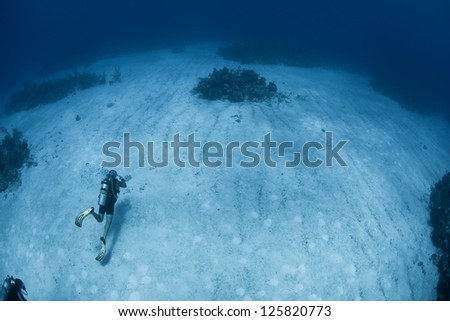 A diver explores a sand flat between reefs in Grand Cayman.  This island in the Caribbean is well known for its fantastic scuba diving.