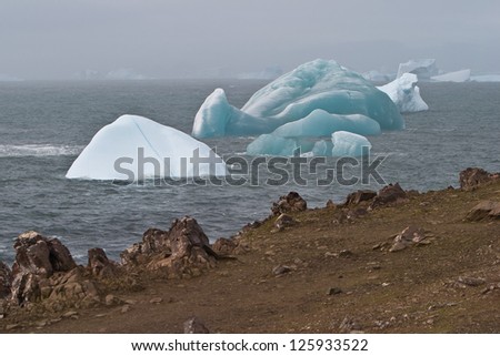 A colorful collection of icebergs drift near Elephant Island where Ernest Shackelton and his crew were wrecked in the South Shetland Islands.  This is a cold and windy part of the planet.