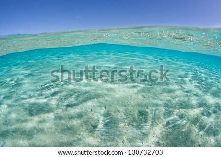 Crystal clear water inside a lagoon in the South Pacific exemplify the tropics.  The warm, nutrient-free water is home to a wide variety of marine life.