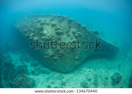 A shipwreck now serves as an artificial coral reef in the warm tropical waters of Micronesia.  Sunken ships provide habitat for corals, other invertebrates, and fishes.