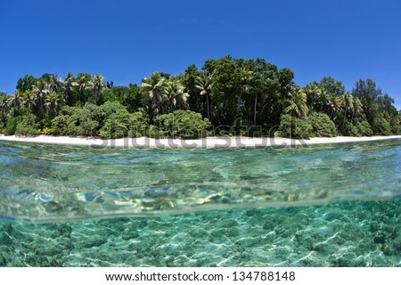 Warm, clear, tropical waters bathe a white sand beach fringed by palm trees and other strand vegetation in Palau.