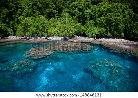 A fringing coral reef grows along the edge of a lush tropical island in the Solomon Islands. These diverse islands lie in the easternmost corner of the Coral Triangle.