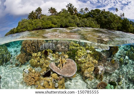 A shallow coral reef, composed of a diversity of hard and soft corals, grows near an idyllic tropical island in the Solomon Islands. This area is within the famous Coral Triangle.