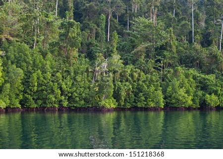 A forested limestone island, fringed by mangrove trees, leads to calm water in a remote lagoon in Raja Ampat, Indonesia, Pacific Ocean.