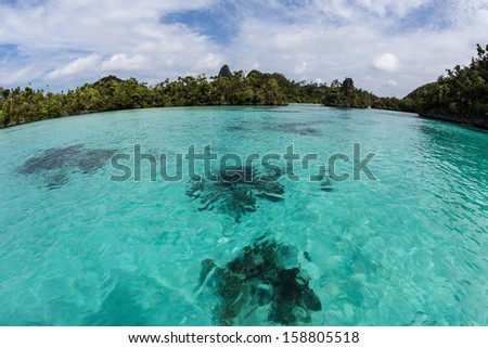 Clear, warm water fills the inner lagoon of Wayag, an idyllic group of limestone islands in the north of Raja Ampat, Indonesia. This beautiful area is known for its high marine diversity.