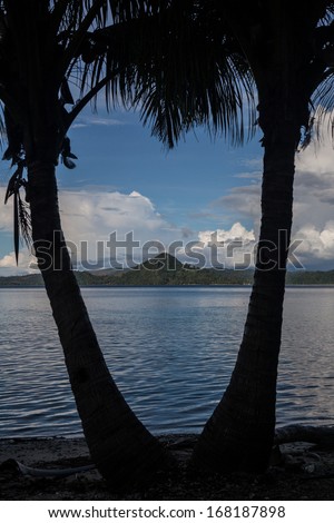 A remote island is seen from a palm-lined beach in the Solomon Islands. This region is the easternmost part of the Coral Triangle and is known for high biological diversity and war history.