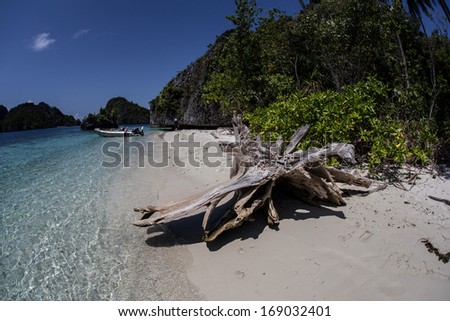 A white sand beach has formed from eroding limestone islands and marine organisms in Raja Ampat, Indonesia. This region is within the Coral Triangle and known for its high marine biological diversity.