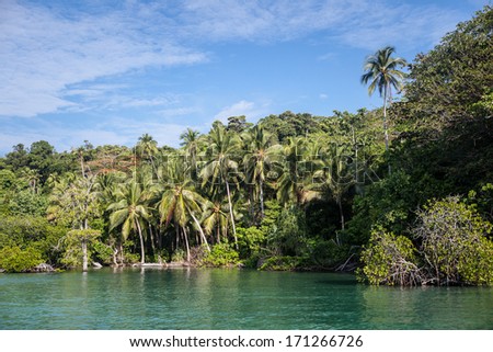 A remote island in Raja Ampat, Indonesia is overgrown with lush, tropical vegetation, including coconut palms. This region is extremely diverse both above and below the waterline.