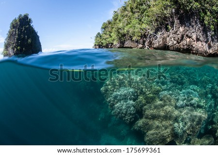 A coral reef fringes a limestone island, covered by tropical vegetation, near Misool in Raja Ampat, Indonesia. This area is known for its high marine biological diversity.
