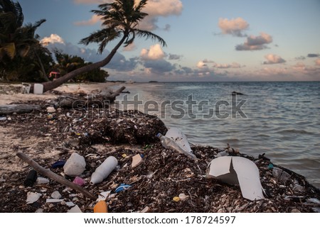 Plastic bottles and other plastic refuse washes ashore on a remote sandy caye off of Belize in the Caribbean Sea. Plastic is a major threat to marine life yet is found in huge quantities worldwide.