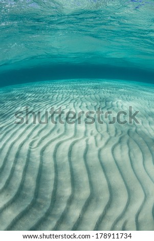 Ripples of sand run across a shallow flat in the warm waters of the Caribbean Sea.