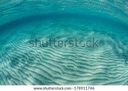 Ripples of sand run across a shallow flat in the warm waters of the Caribbean Sea.
