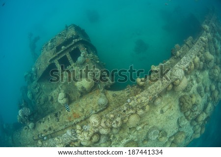 Corals and other invertebrate growth have begun to cover a shallow shipwreck in Palau. Wrecks can act as artificial reefs, providing habitat for marine species.