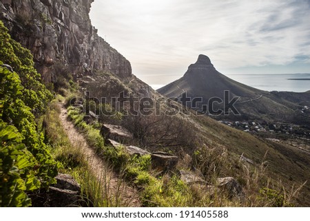 Table Mountain National Park, located not far from Cape Town, is one of the most visited National Parks in Africa. The park contains a unique floral environment with thousands of species.