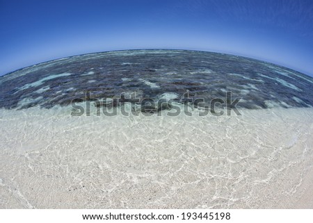A coral reef grows in extremely shallow water on the fringe of Amedee Island in New Caledonia. The corals grow best on the leeward side of the island where less wind and wave energy occur.