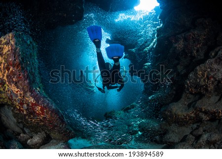 A diver explores the cracks, crevices and holes in a coral reef on the island of Grand Cayman. Many reef species, such as silversides, prefer the shadowed protection of these dark areas.