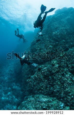 Scuba divers explore a coral reef growing off the northern tip of Sulawesi, Indonesia. This area is extremely biologically diverse, home to almost 2000 species of reef fish.