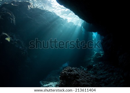 Sunlight cascades into the shadows of an underwater cavern in the Solomon Islands. Many coral reefs have caves and caverns where organisms that prefer darkness lives.