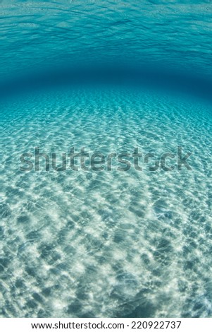 Bright sunlight sparkles on a shallow sand flat in the tropical Pacific Ocean. Sunlight plays  2000 a vital role in a variety of tropical underwater habitats.