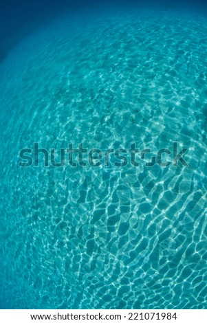 Sunlight passes through clear water and sparkles on a shallow sand flat in the tropical Pacific Ocean. Sunlight plays an important role in a variety of tropical underwater habitats.