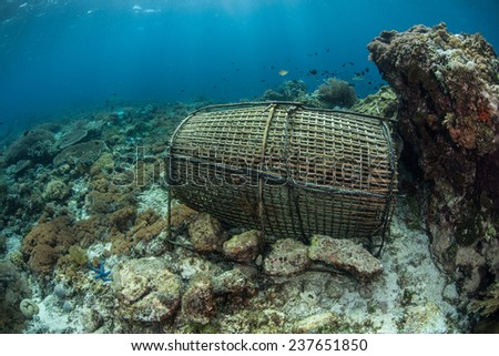 A bamboo woven fish trap lies on a coral reef near Alor, Indonesia. This traditionally made trap is used to capture small reef fish for food.