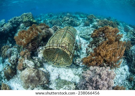 A bamboo fish trap lies on a coral reef near Alor, Indonesia. This traditionally-woven trap is used by village fishermen to capture small reef fish for food.