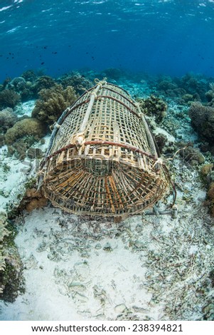 A hand-woven bamboo fish trap lies on a coral reef near Alor, Indonesia. This traditionally made trap is used by local fishermen to capture small reef fish for food.