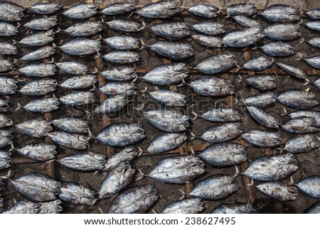 Dried reef fish are sold at a local market on the island of Alor, Indonesia. Tens of millions of Indonesians rely on fish for their daily protein.