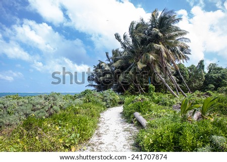 A sand path leads through Half Moon Caye, a World Heritage Site, near the famous Blue Hole off of Belize in the Caribbean Sea. The caye is a sanctuary for boobies and frigate birds.