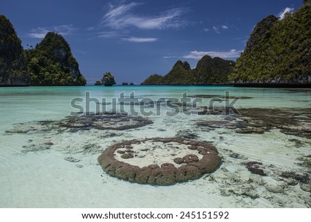 Coral bommies grow in a beautiful, remote lagoon surrounded by limestone islands in Wayag, Raja Ampat, Indonesia. This region is known for high marine biological diversity and excellent scuba diving.