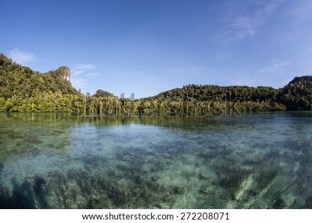 Shallow water covers a shallow reef flat near a remote island in Raja Ampat, Indonesia. This part of the Coral Triangle harbors more marine species than anywhere else on Earth.