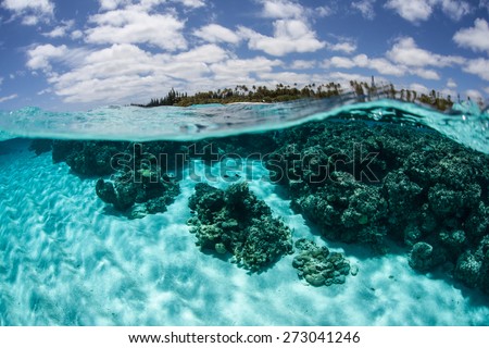 Warm, clear water bathes the remote and beautiful south Pacific island of Lifou, near New Caledonia.