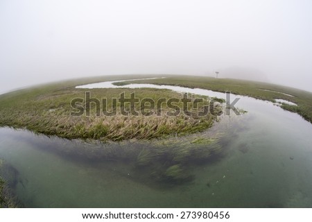 A channel winds through a salt marsh in a bay on outer Cape Cod, Massachusetts. Marshes are ecologically vital to the environmental health of this region. They are habitat for a diversity of life.