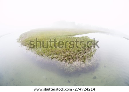 Fog covers a salt marsh in a shallow bay on outer Cape Cod, Massachusetts. Marshes are ecologically vital to the environmental health of this region. They are habitat for a wide diversity of life.