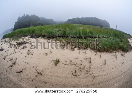 Sand fringes a salt marsh in a shallow bay on outer Cape Cod, Massachusetts. Marshes are ecologically vital to the environmental health of this region. They are habitat for a wide diversity of life.